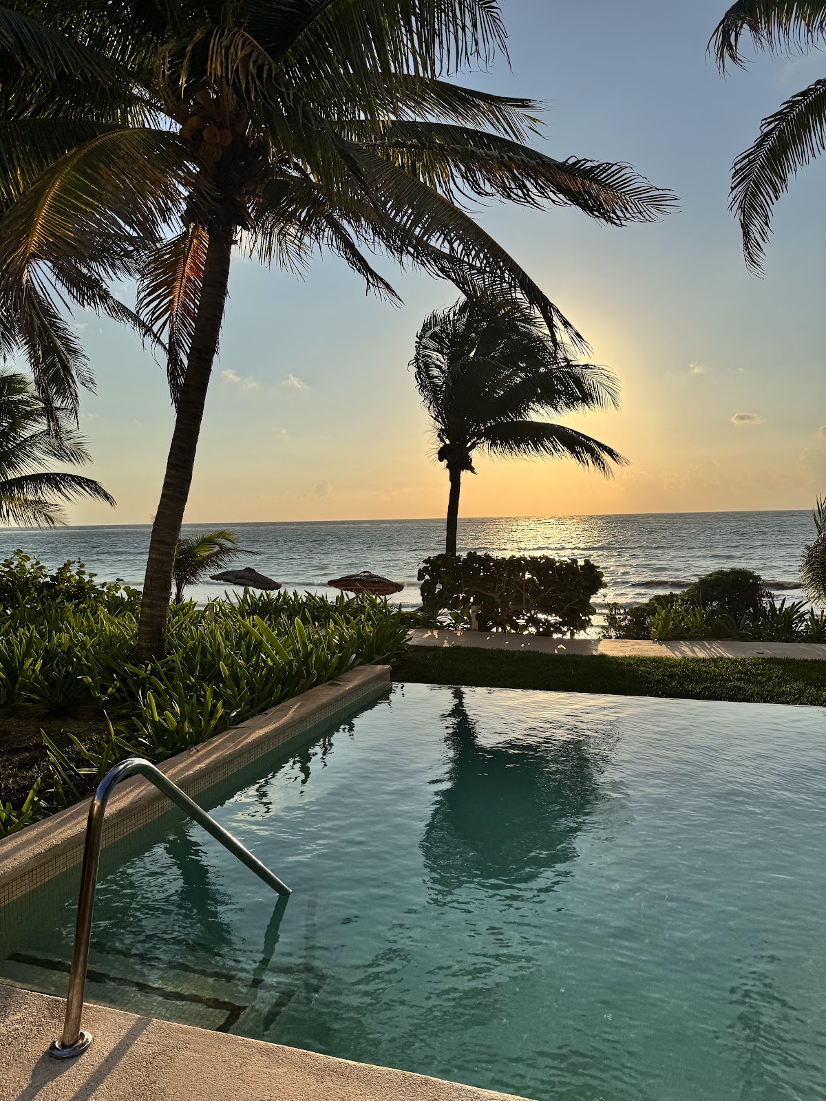 Infinity pool with metal handrail overlooking palm trees, beach umbrellas, and ocean at sunset.