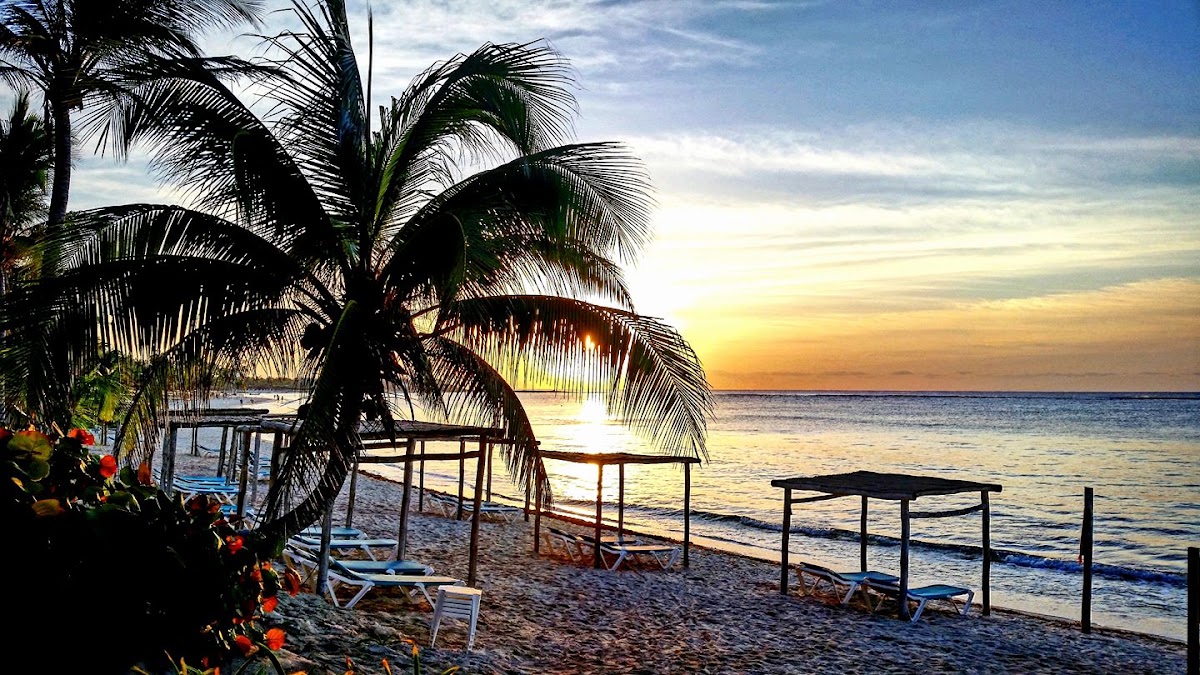 Palm trees frame a sandy beach at Akumal Bay Beach & Wellness Resort with lounge chairs and thatched palapas overlooking the ocean at sunset.