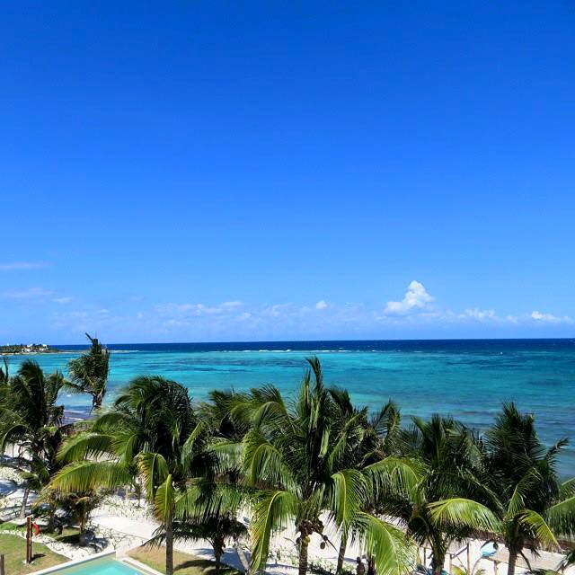 Palm trees frame a white sand beach and turquoise Caribbean waters under a clear blue sky at Akumal Bay Beach & Wellness Resort.