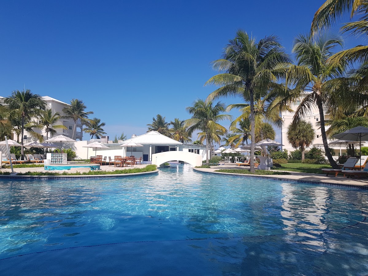 Blue lagoon-style pool with white bridge, palm trees, and white resort buildings under clear sky at Alexandra Resort.