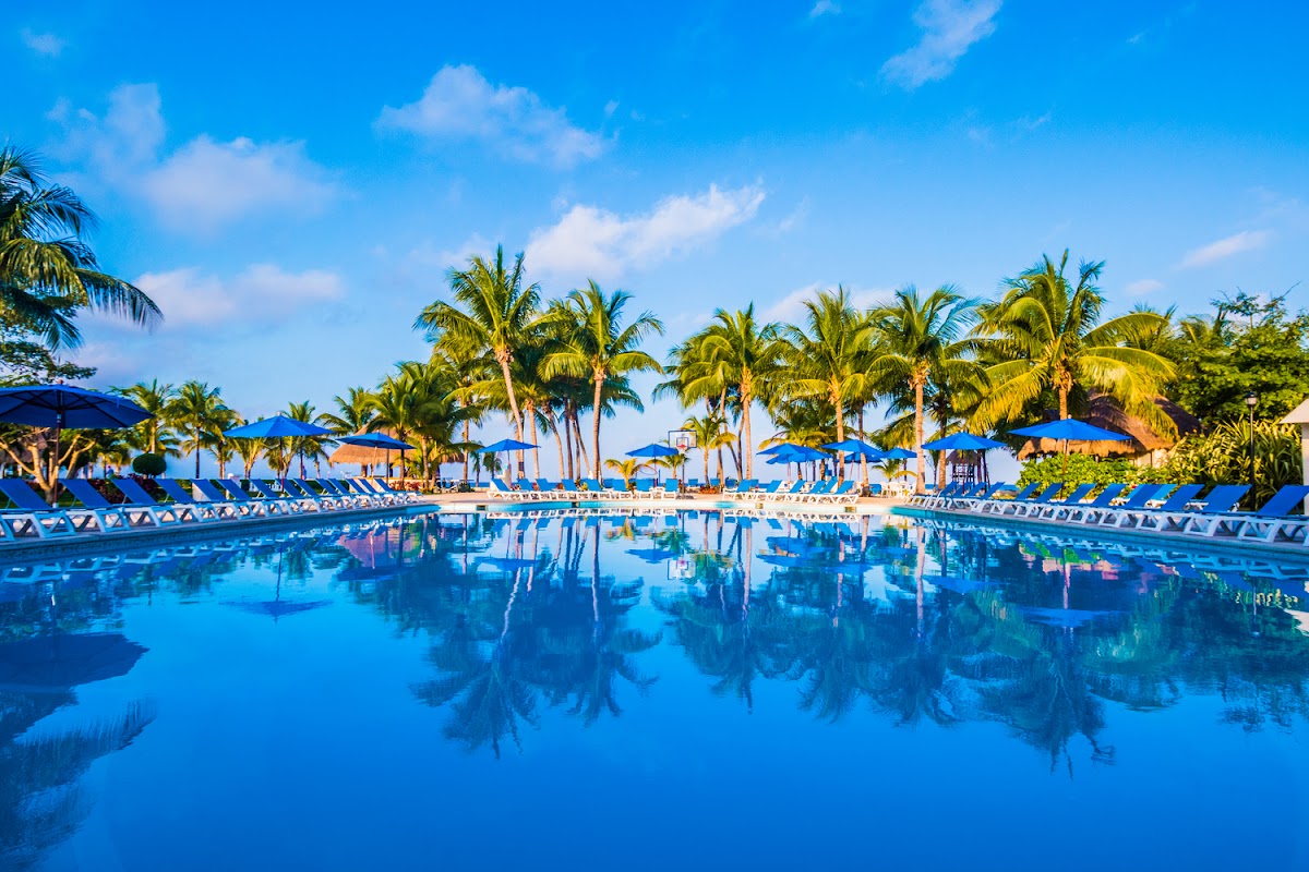 Large resort pool lined with blue loungers and umbrellas, surrounded by tall palm trees and ocean view beyond under clear sky.