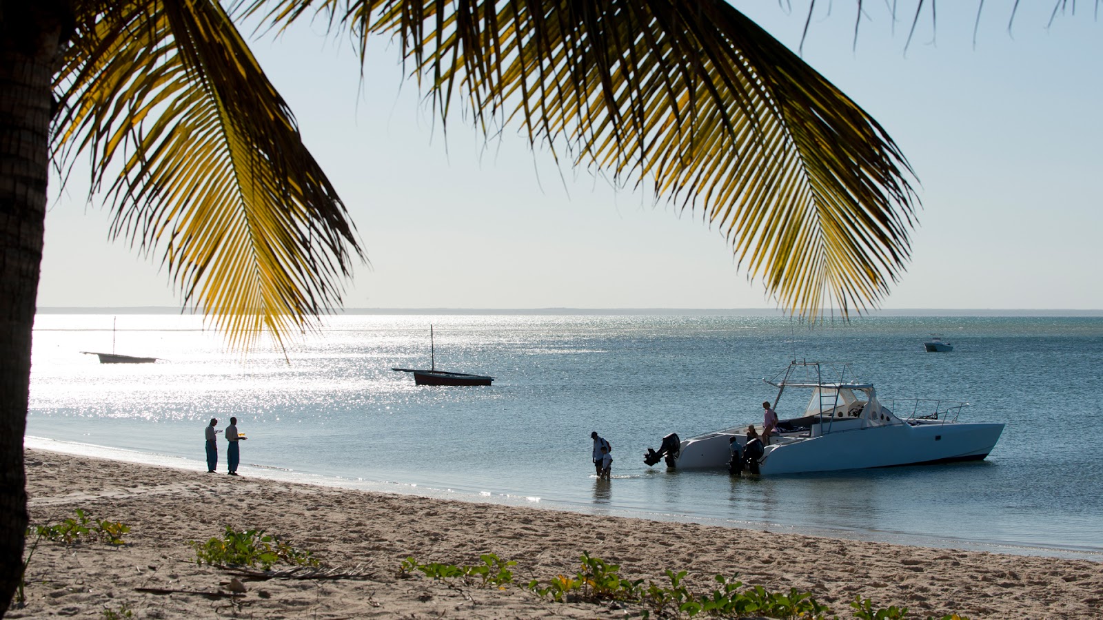 Palm fronds frame a sandy beach where guests wade near a blue motorboat anchored in clear shallow water under a bright sky.