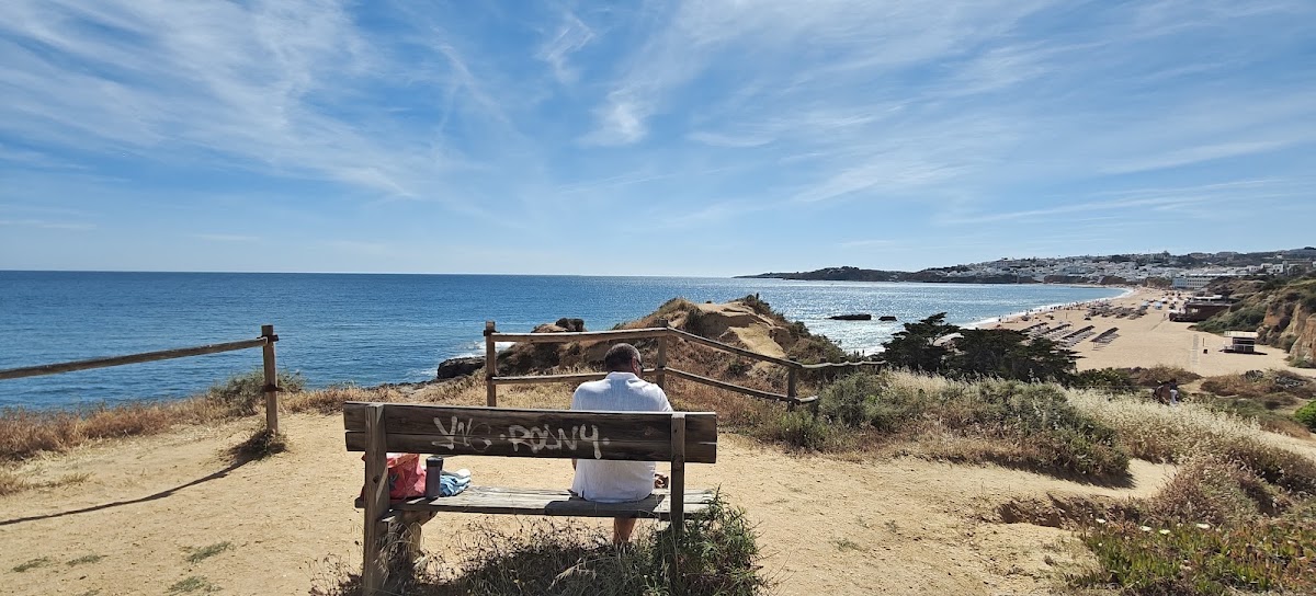 A person sits on a wooden bench overlooking a sandy beach and blue ocean, with coastal cliffs and development visible along the shoreline.