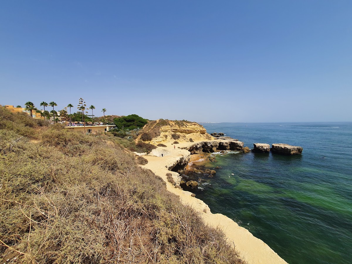 Auramar resort overlooks a rocky cove with sandy beach, palm trees, and clear blue water under bright sky.