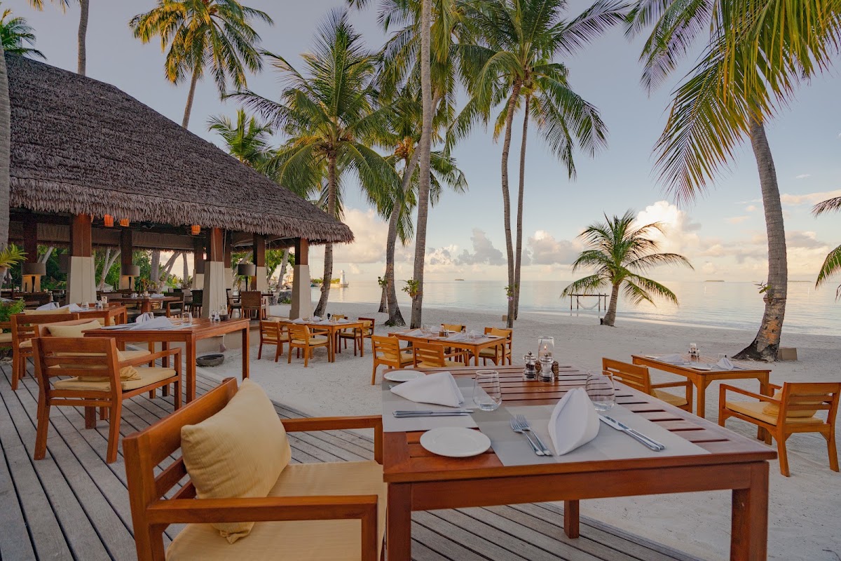 Beachfront dining at Ayada Maldives with wooden tables and chairs on a deck, thatched-roof restaurant, palm trees, and calm ocean beyond.