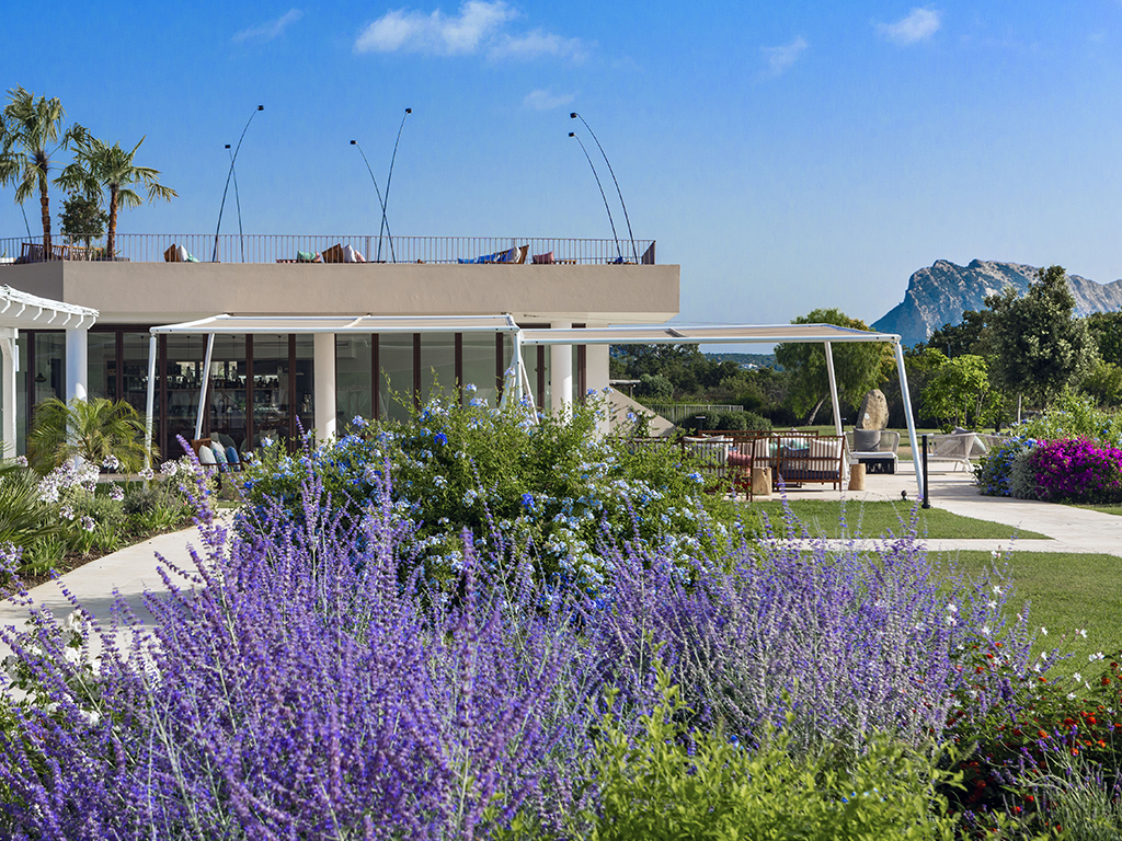 Modern resort building with purple lavender flowers in foreground, shaded pergola seating area, and mountain backdrop under clear blue sky.