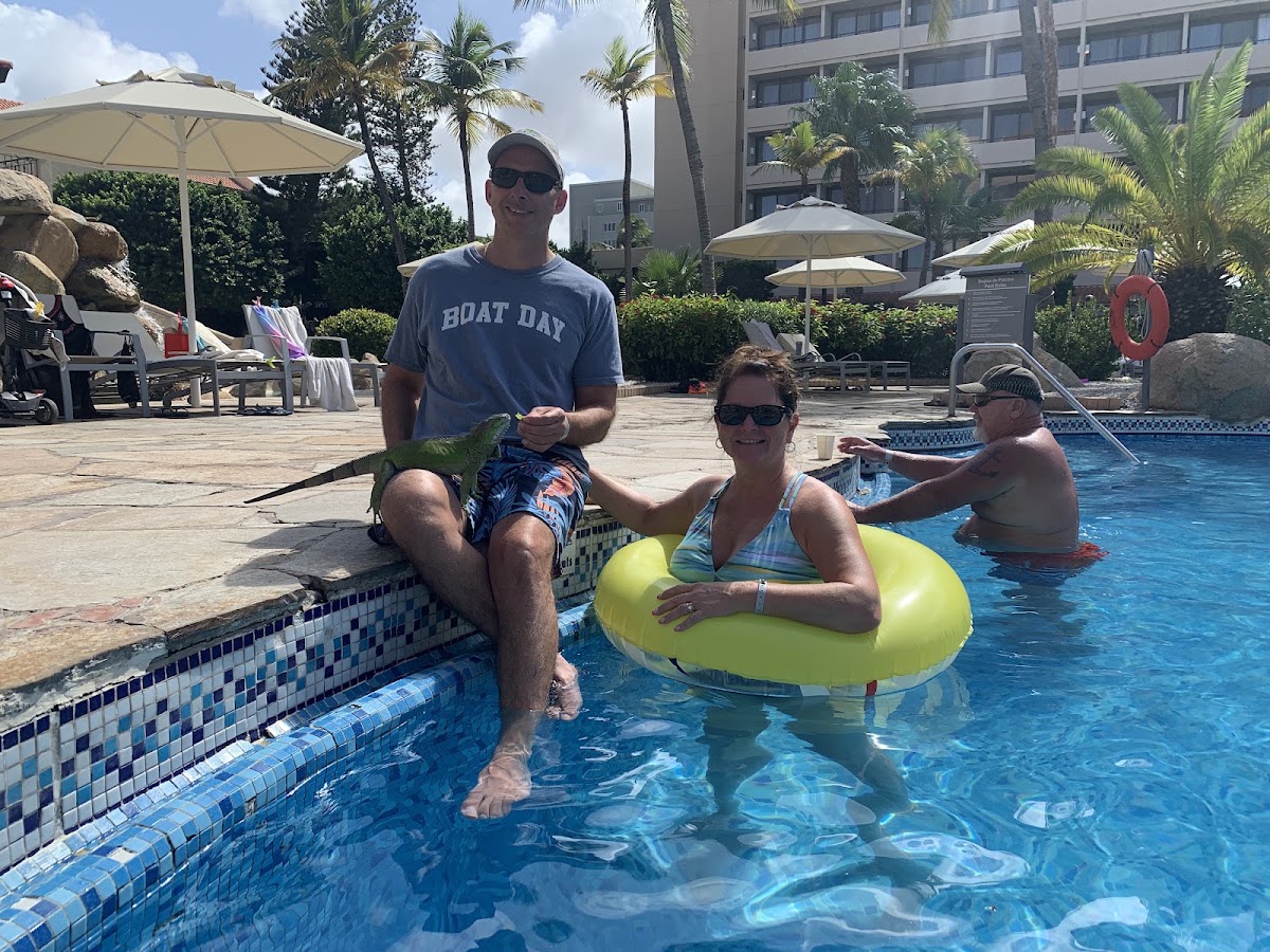 Adults and a child enjoy the pool at Barceló Aruba, with palm trees, umbrellas, and resort buildings in the background.