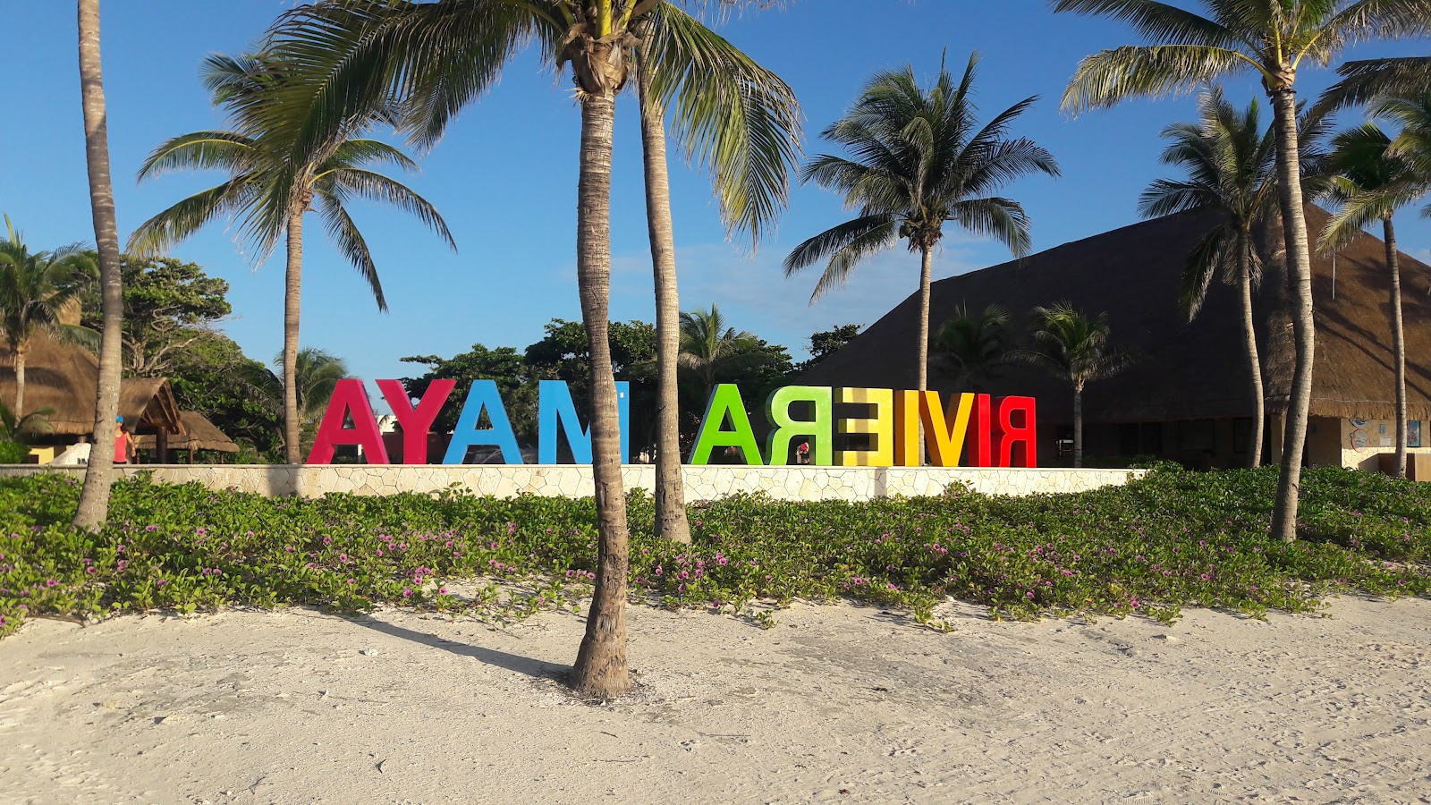 Colorful resort signage with red, blue, and lime green letters stands on a sandy beach bordered by palm trees and low vegetation at Barceló Maya Colonial.
