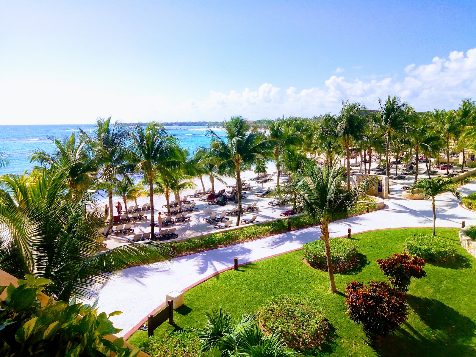 Palm-lined beach grounds with lounge chairs, white sand beach, and turquoise ocean at Barceló Maya Colonial.
