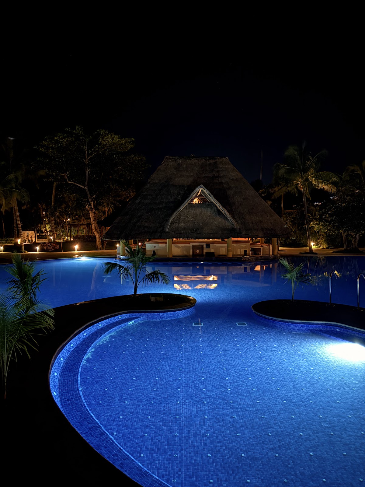 Illuminated resort pool complex at night with thatched-roof building, palm trees, and curved pool sections glowing blue.