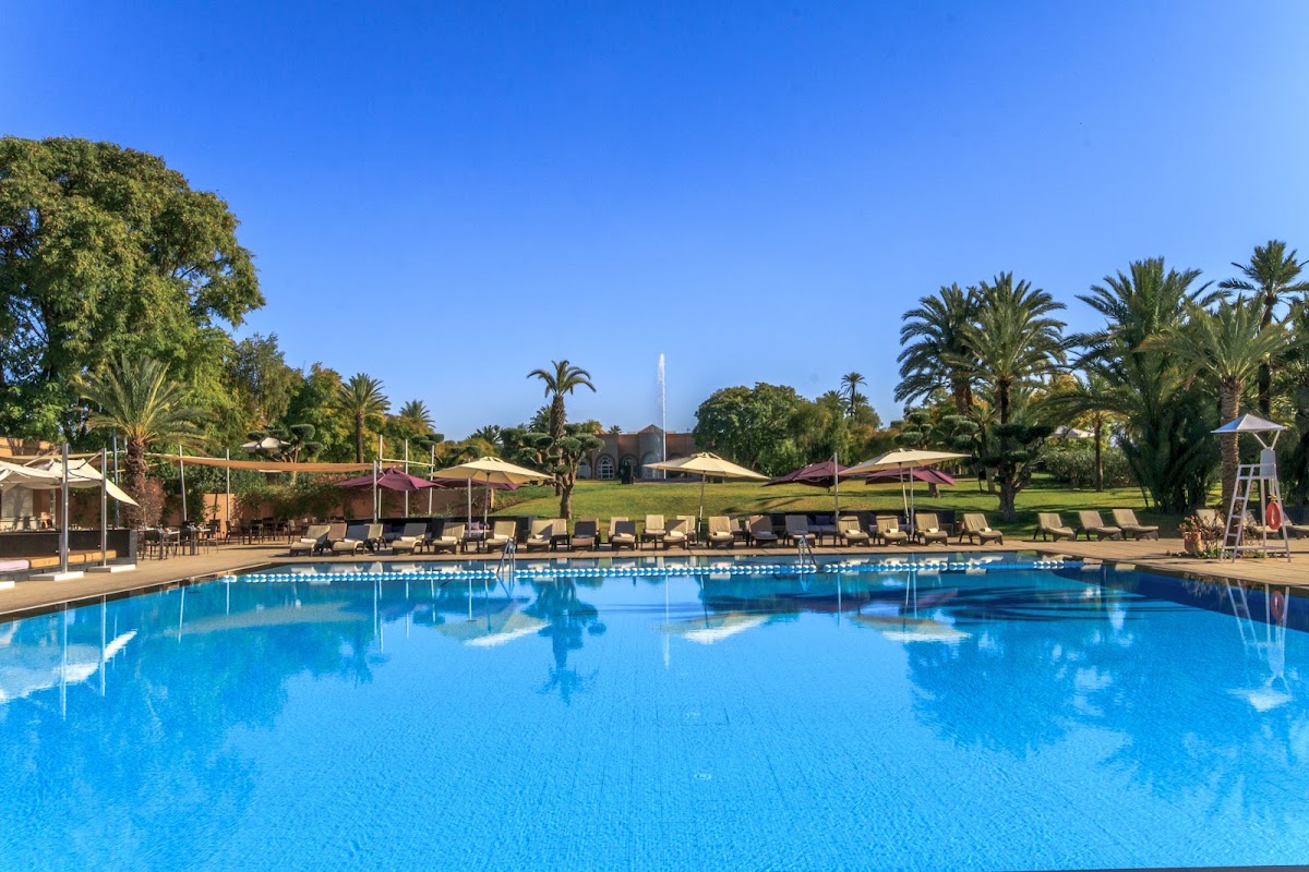 Large pool with blue water at Barceló Palmeraie Oasis Resort, surrounded by lounge chairs, umbrellas, palm trees, and manicured lawns under clear sky.