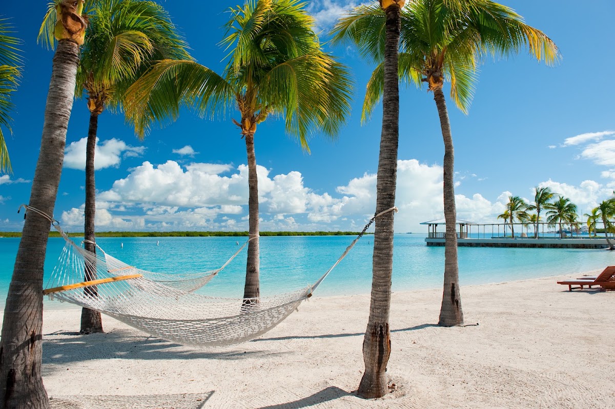 Hammocks strung between palm trees on a sandy beach with turquoise water and a pier at Blue Haven Resort.