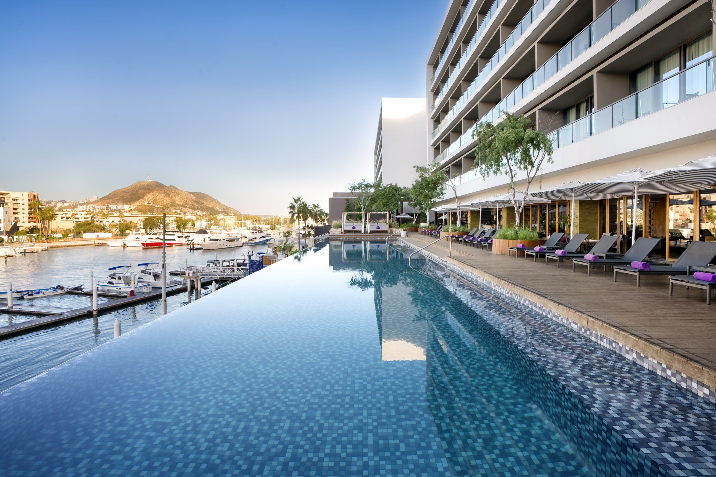 Long infinity pool beside the marina, with loungers, resort buildings and the mountains beyond.