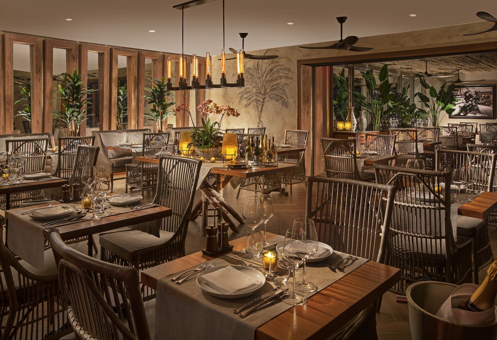 Elegant indoor dining room with wooden tables, rattan chairs, potted plants, and pendant lighting overhead.