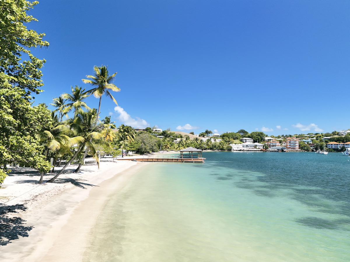 White sand beach with palm trees and turquoise water at Calabash Hotel, colorful hillside buildings visible across the bay.