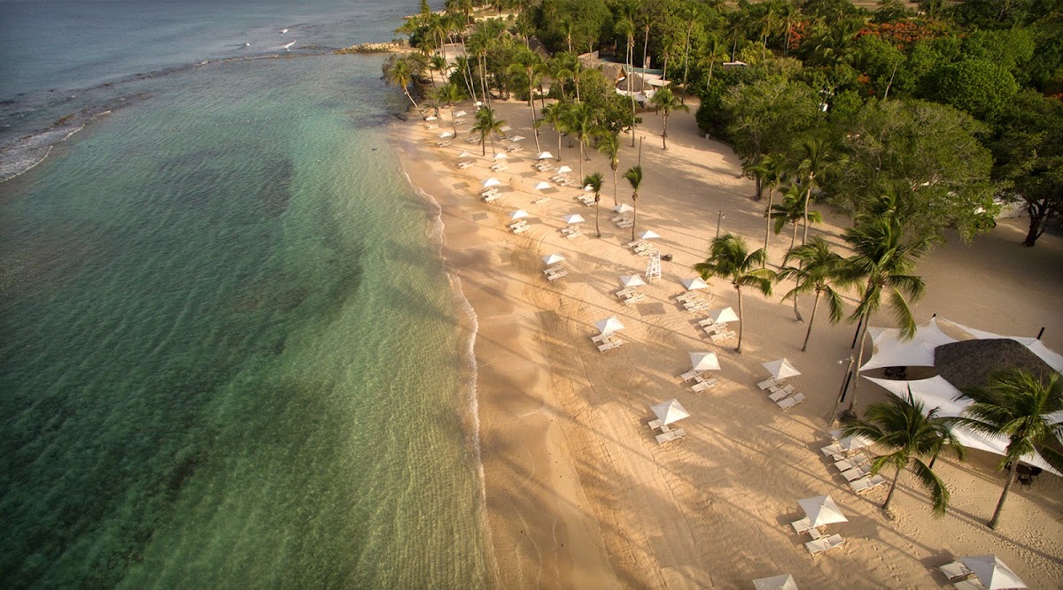 Aerial view of Casa de Campo Resort & Villas beach with turquoise water, white loungers, palm trees, and tropical vegetation along the shoreline.