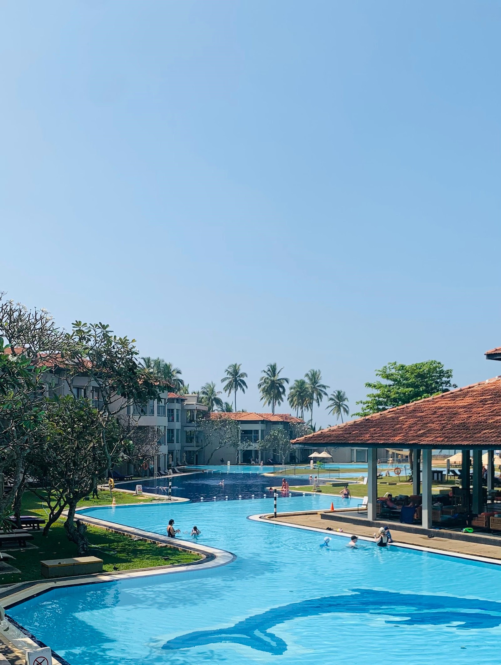 Multiple curved swimming pools with guests swimming, palm trees, a covered pavilion, and a multi-story hotel building under clear blue sky at Club Hotel Dolphin.