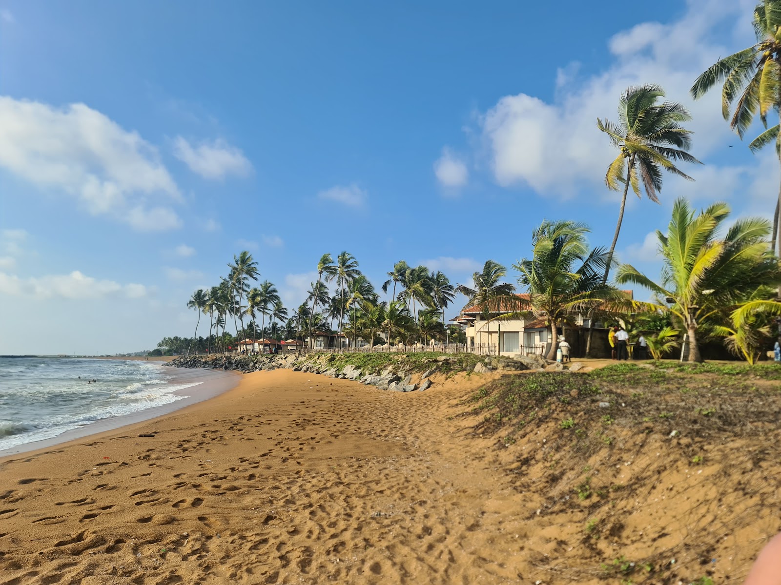 Sandy beach with tall palm trees, rock breakwater, and white bungalows with terracotta roofs at Club Hotel Dolphin along turquoise waters under blue sky.