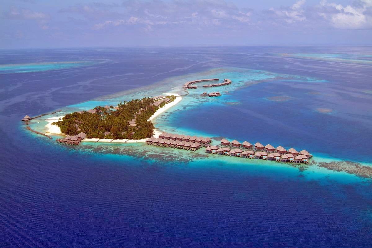 Two guests relax on wooden loungers on a deck overlooking the ocean at Coco Bodu Hithi, with a third guest in the infinity pool nearby.