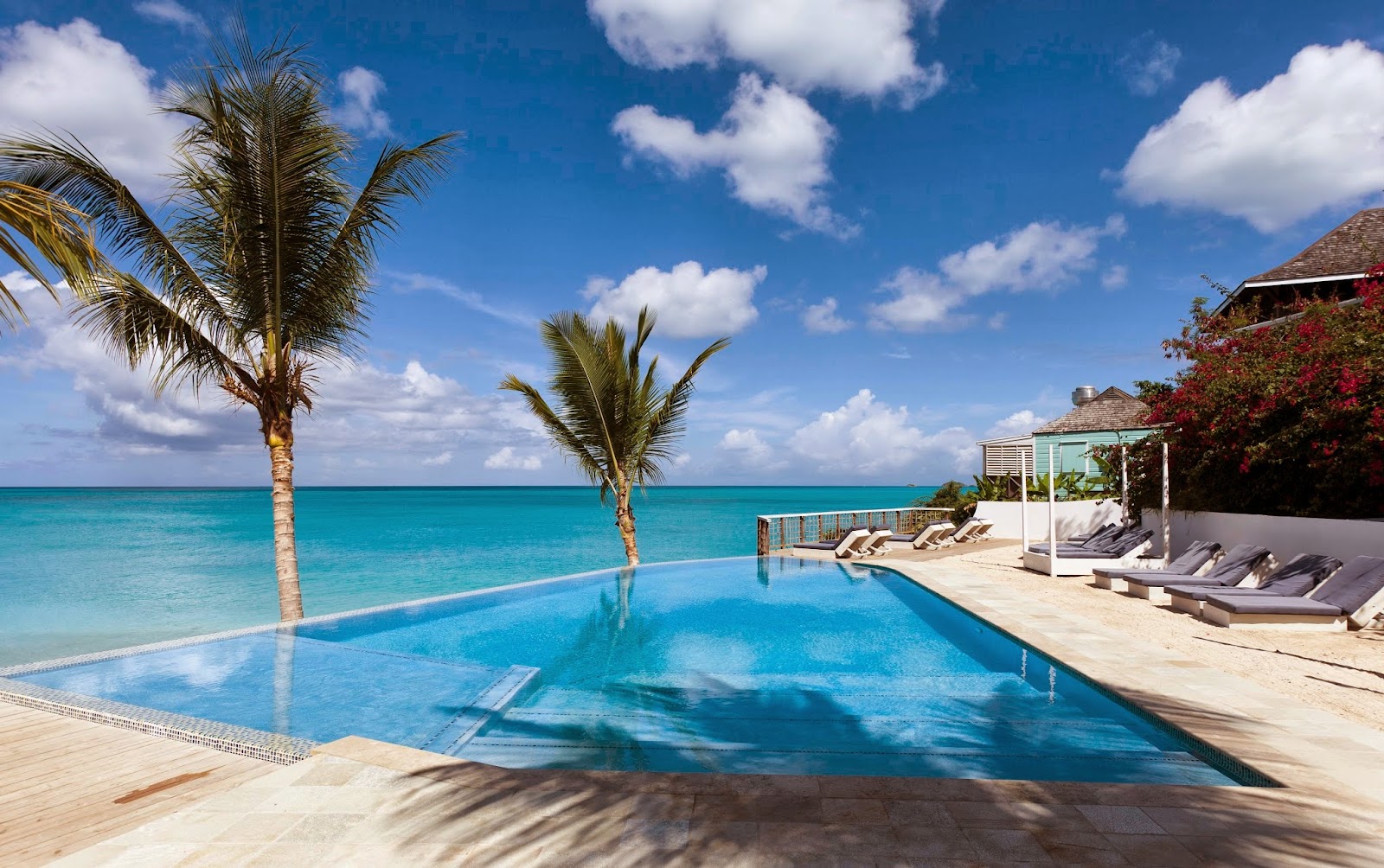 Infinity pool with palm trees overlooks turquoise Caribbean Sea at Cocobay Resort Antigua, with loungers and cabanas on the deck.