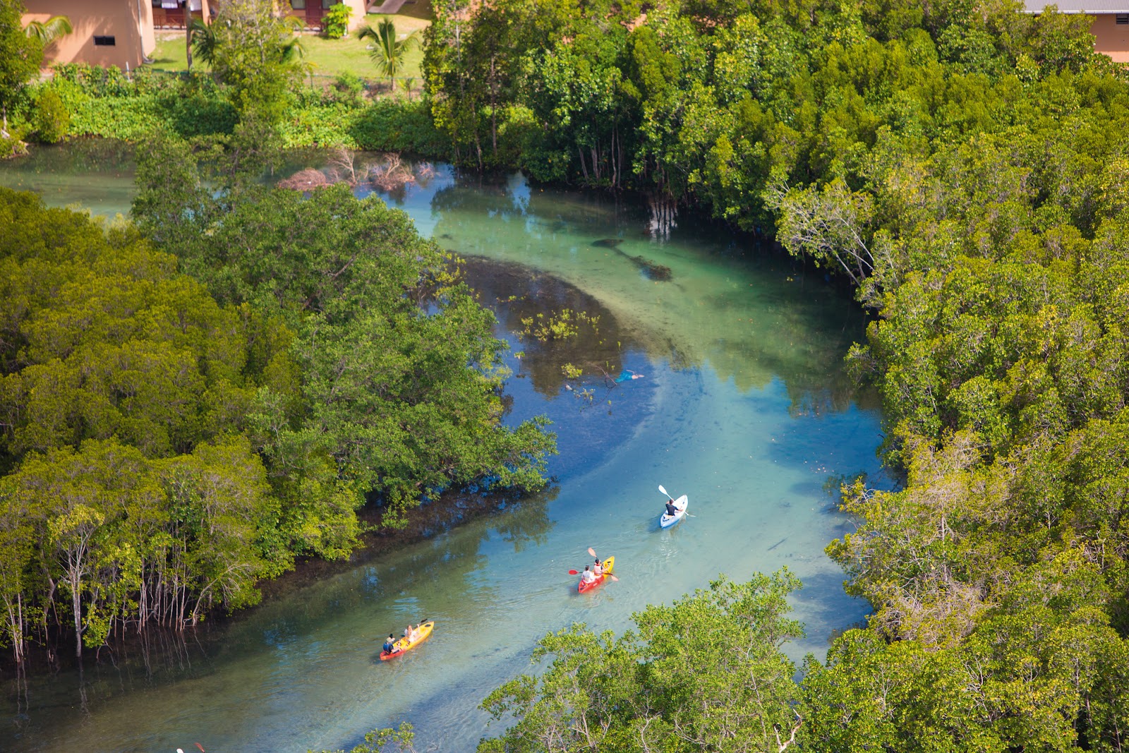 Aerial view of a clear turquoise lagoon lined with dense mangrove forests, three kayaks paddling through the shallow water near resort buildings visible in the distance.