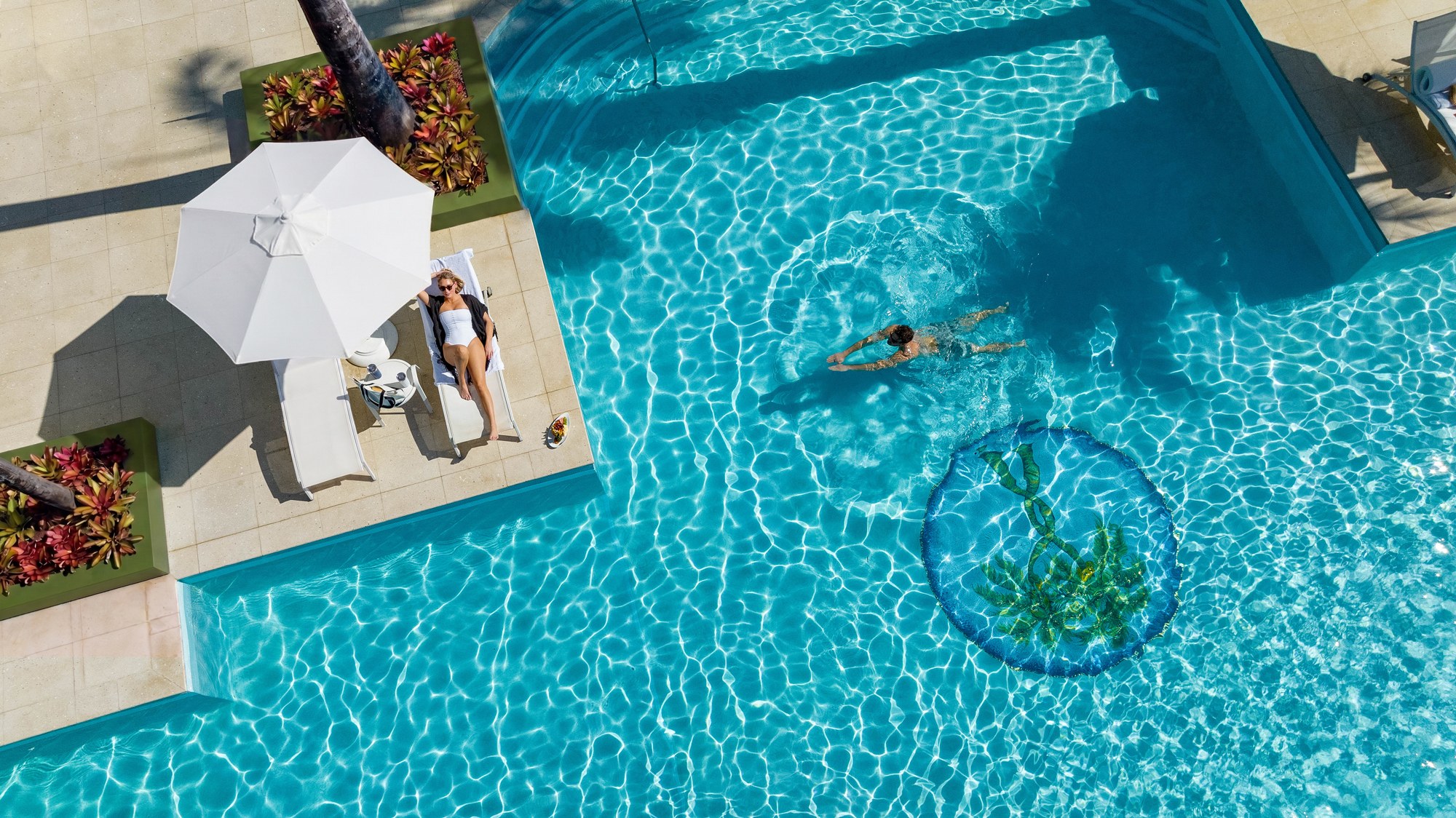 Swim-up bar from above
