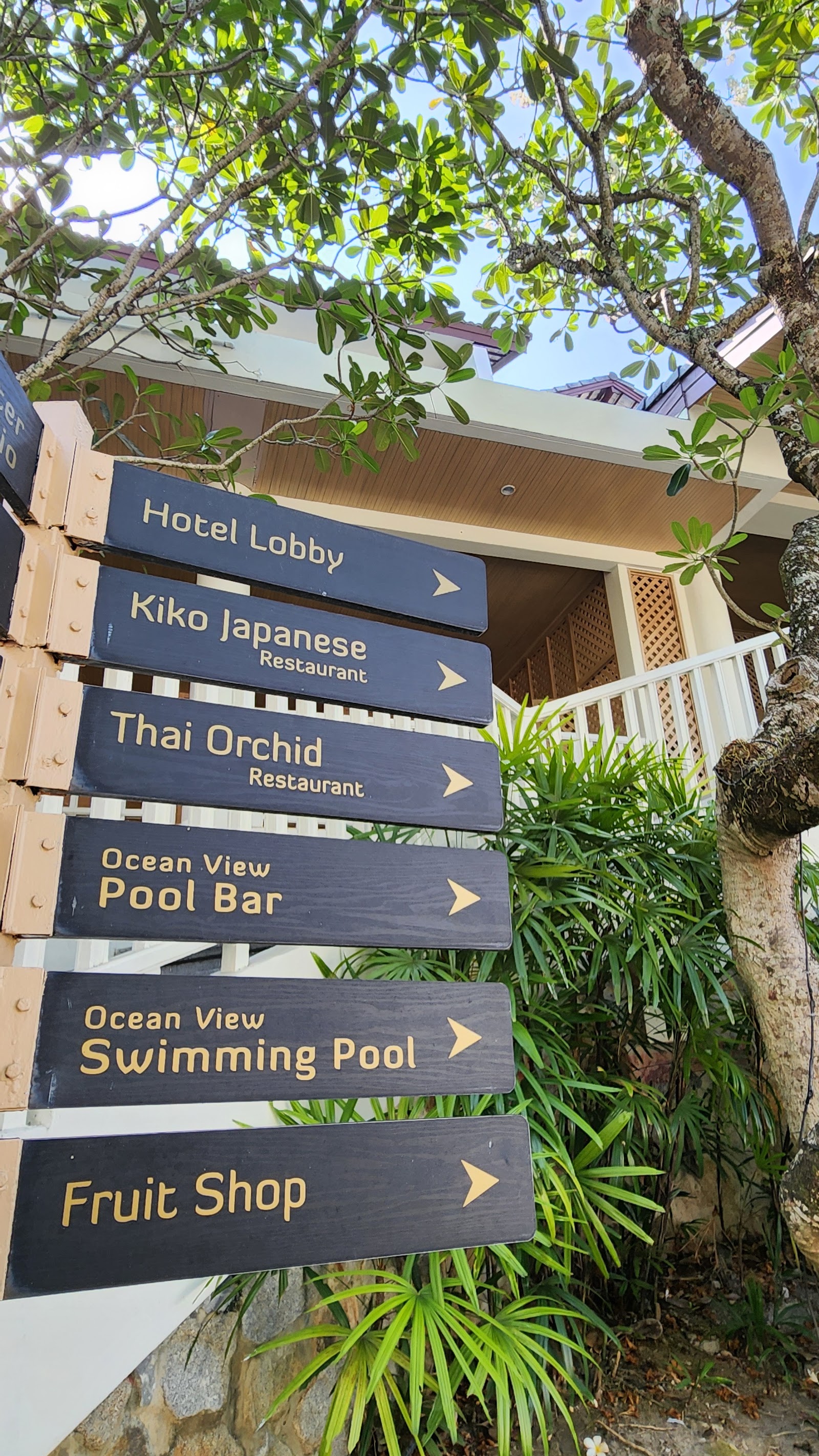 Directional signage under tropical tree branches points to Hotel Lobby, Kiko Japanese Restaurant, Thai Orchid Restaurant, Ocean View Pool Bar, Ocean View Swimming Pool, and Fruit Shop at Diamond Cliff Resort & Spa.