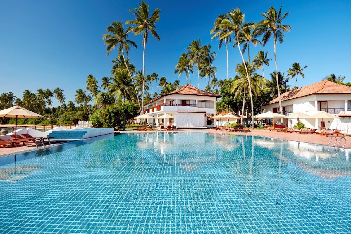 Large rectangular pool with tile details at Dickwella Resort and Spa, surrounded by palm trees, loungers, umbrellas, and terracotta-roofed bungalows under clear blue sky.