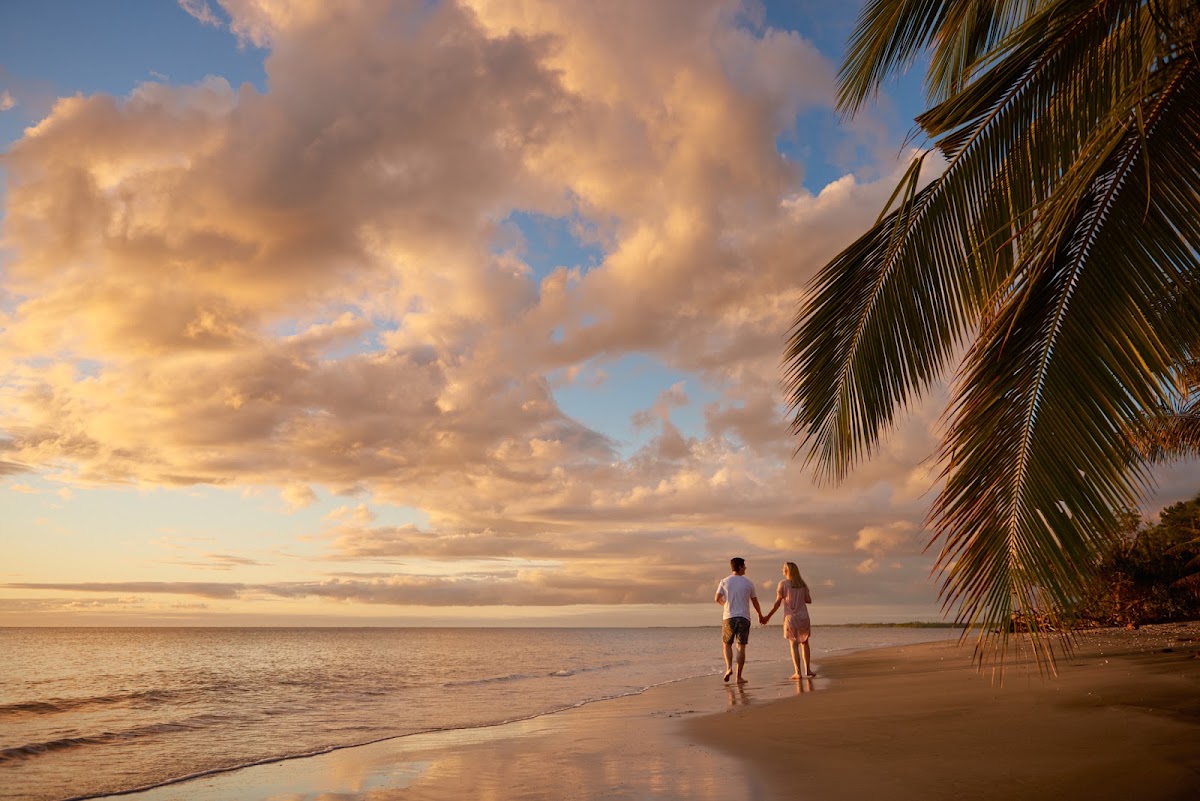 Couple walking hand-in-hand along a sandy beach at sunset under a palm frond, with calm ocean and golden clouds.