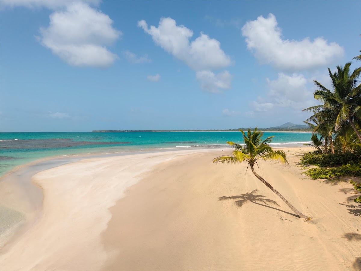 Sandy beach with turquoise water, palm trees, and distant mountains under blue sky at Dreams Playa Esmeralda Resort & Spa.
