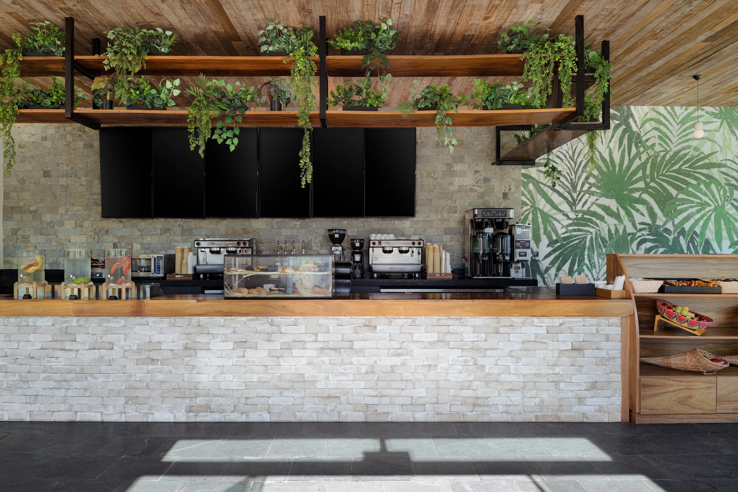 Coco Cafe counter of white stacked stone with espresso machines, a shelf of trailing plants and tropical leaf wallpaper.