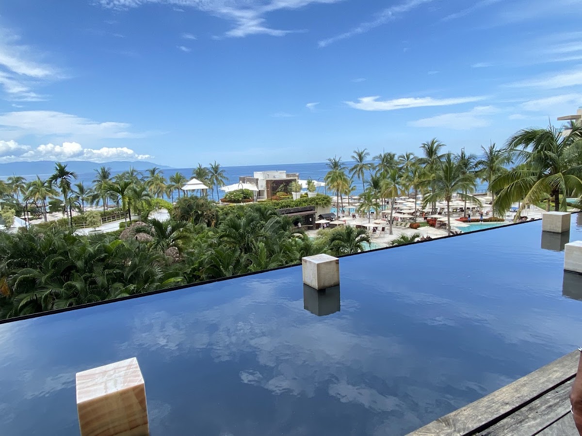 Infinity pool overlooking palm-lined grounds, beach, and ocean at Dreams Vallarta Bay Resort & Spa.