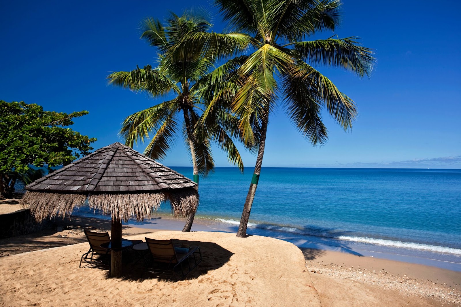 Thatched umbrella and lounge chairs on a sandy beach at East Winds, with a palm tree and calm blue ocean under clear sky.