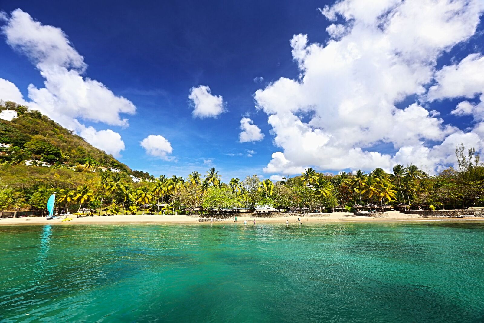 Turquoise water and sandy beach with palm trees and hillside buildings under blue sky with white clouds at East Winds.