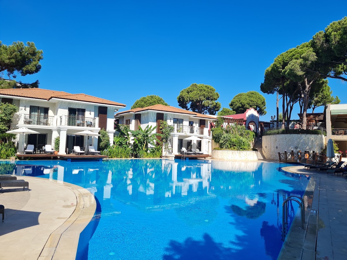 Large blue pool with white villas, terracotta roofs, and tall pine trees under clear sky at Ela Excellence Resort Belek.