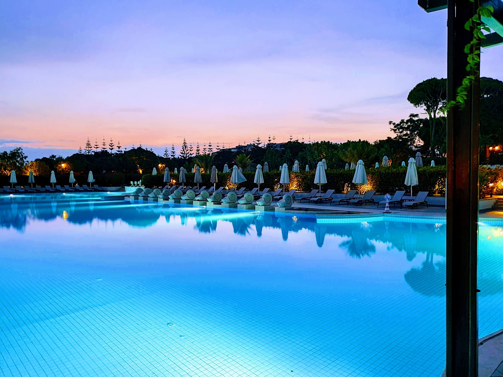 Illuminated pool at dusk with white umbrellas and lounge chairs lining the deck, trees and pink sky beyond.
