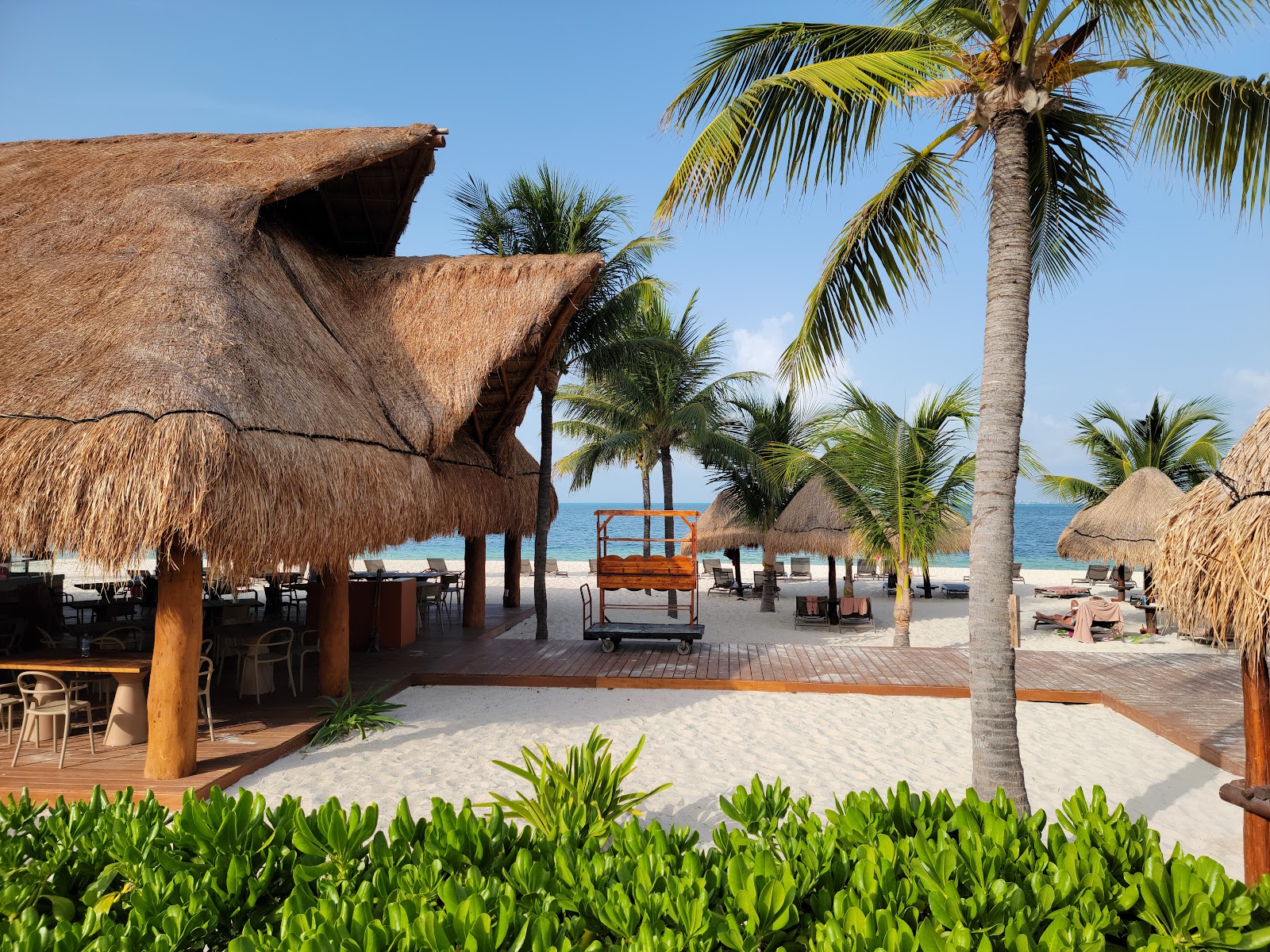 Large swimming pool at Excellence Playa Mujeres with thatched palapas, palm trees, and modern poolside bar structure under cloudy sky.