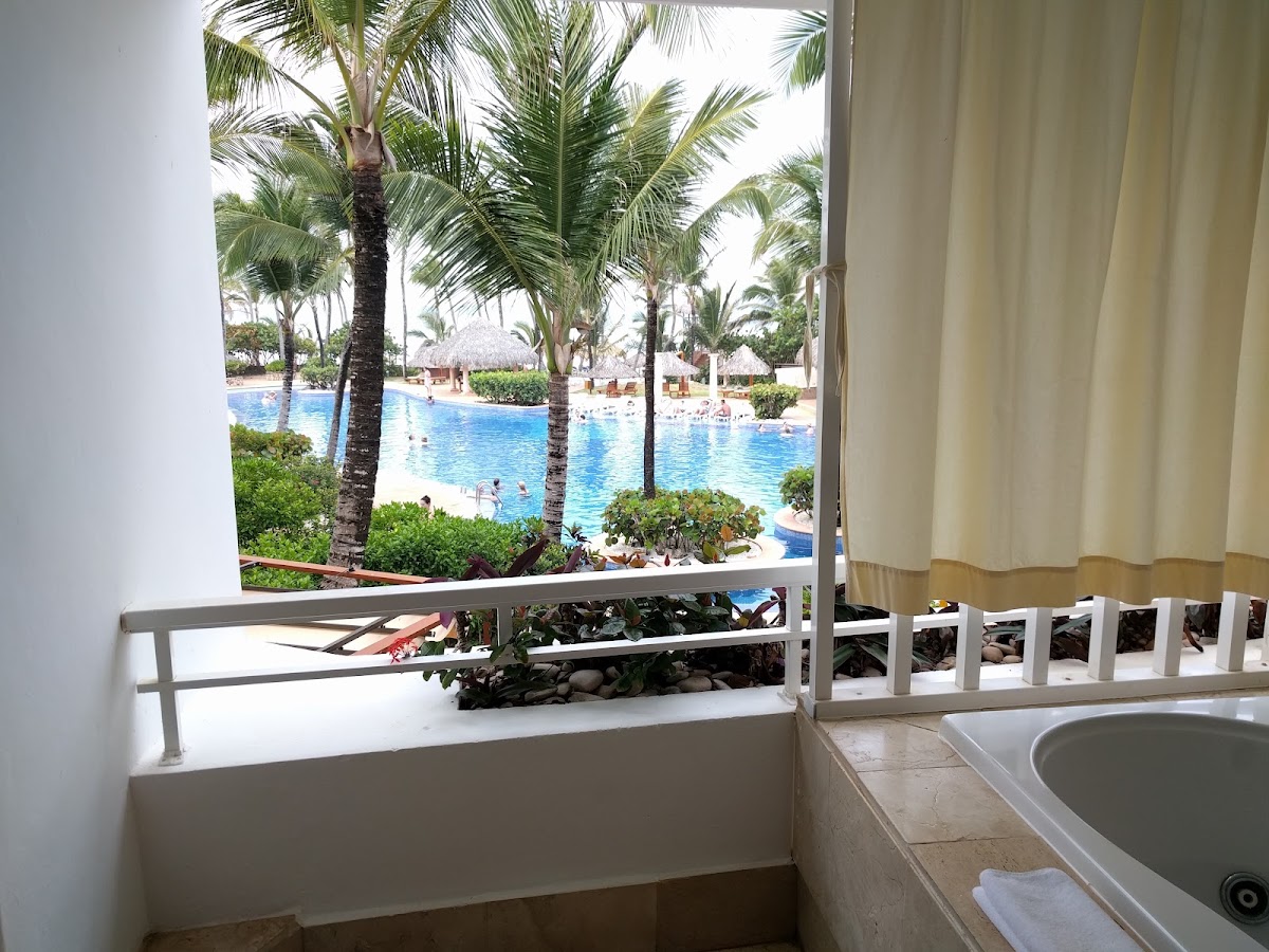 View from a bathroom window overlooking the pool, palm trees, and beach area at Excellence Punta Cana.