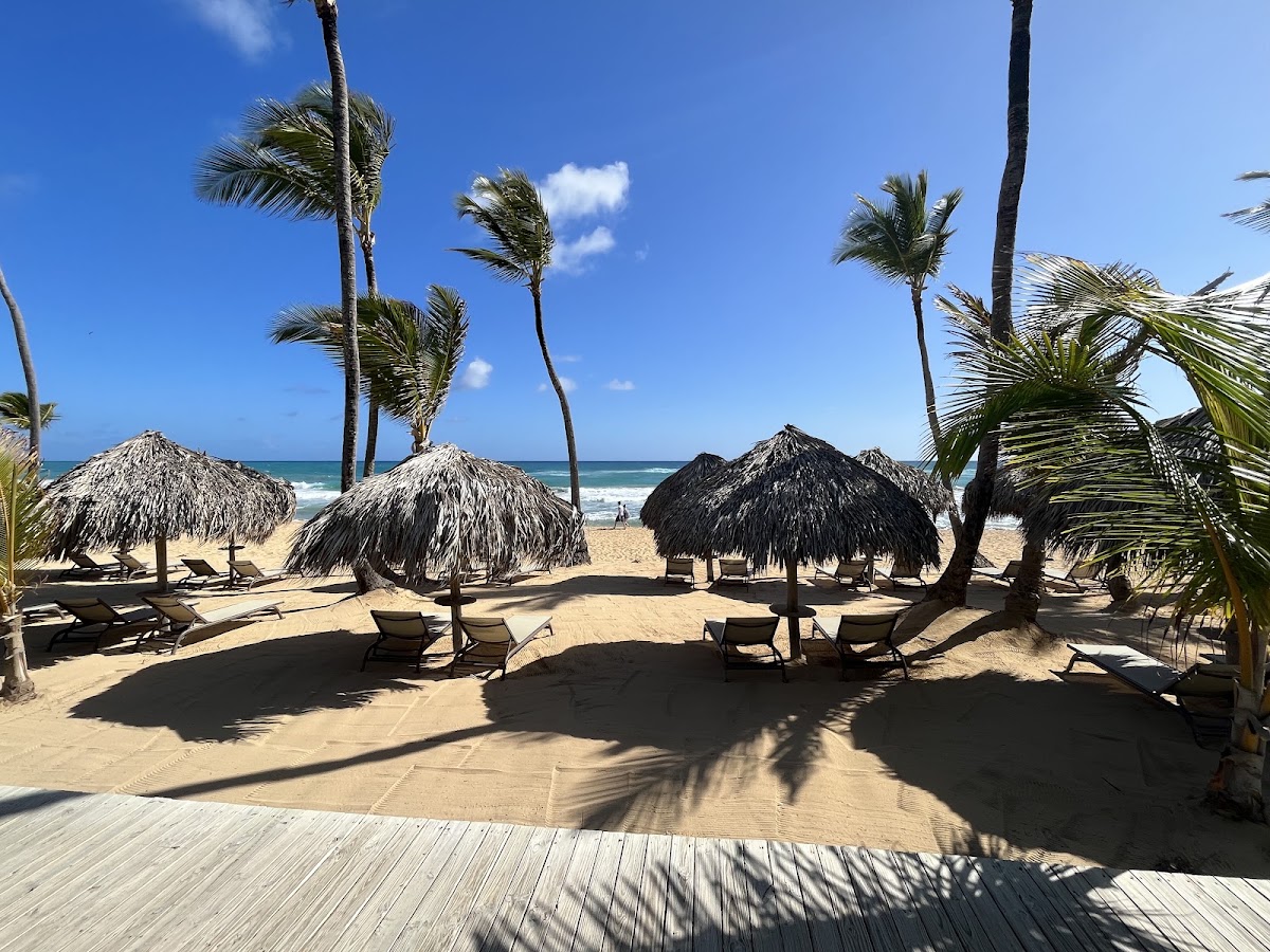 Thatched beach palapas and loungers beside breaking waves at Excellence Punta Cana.
