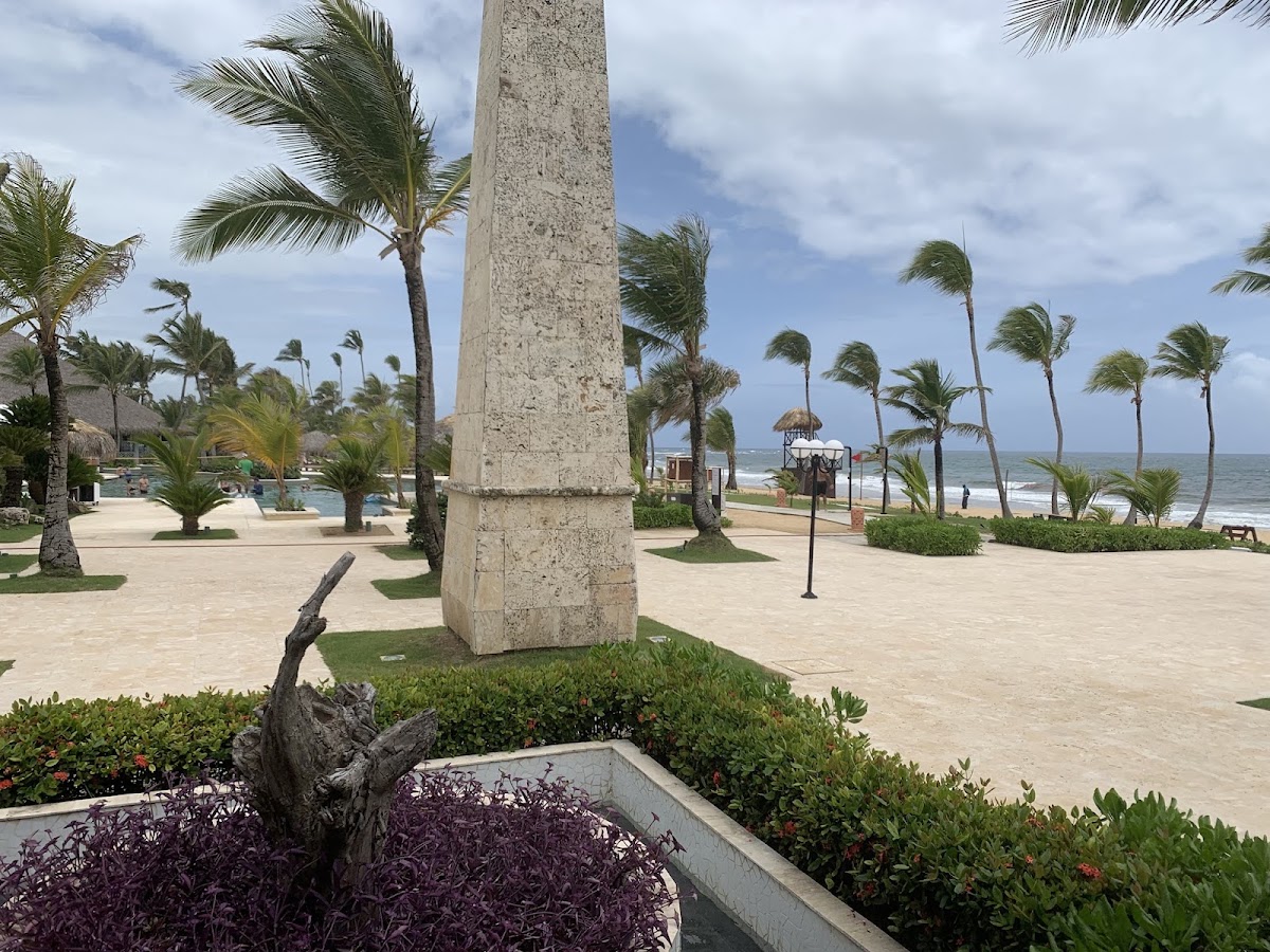 Palm-lined beachfront paths and gardens at Excellence Punta Cana.