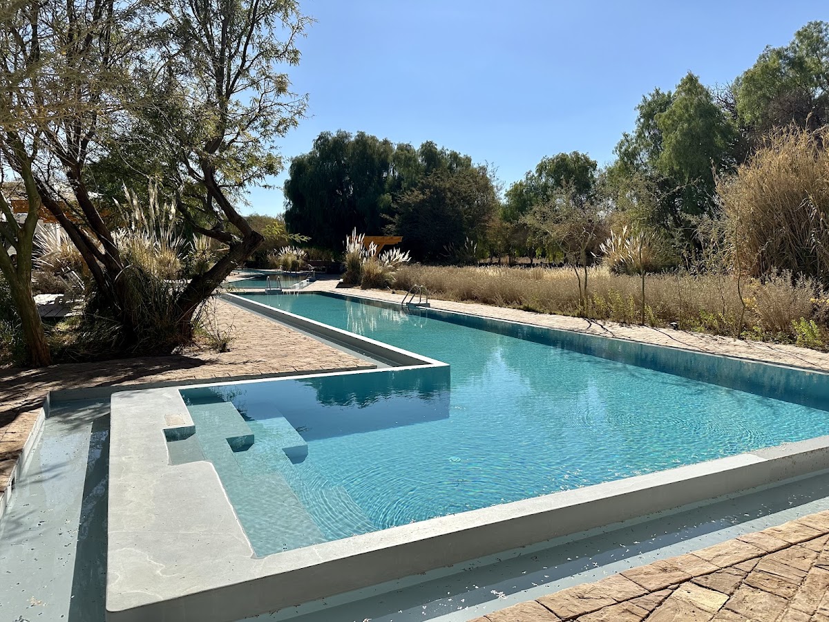 Turquoise lap pool with built-in seating steps, surrounded by desert vegetation and tall trees under clear skies at Explora Atacama.