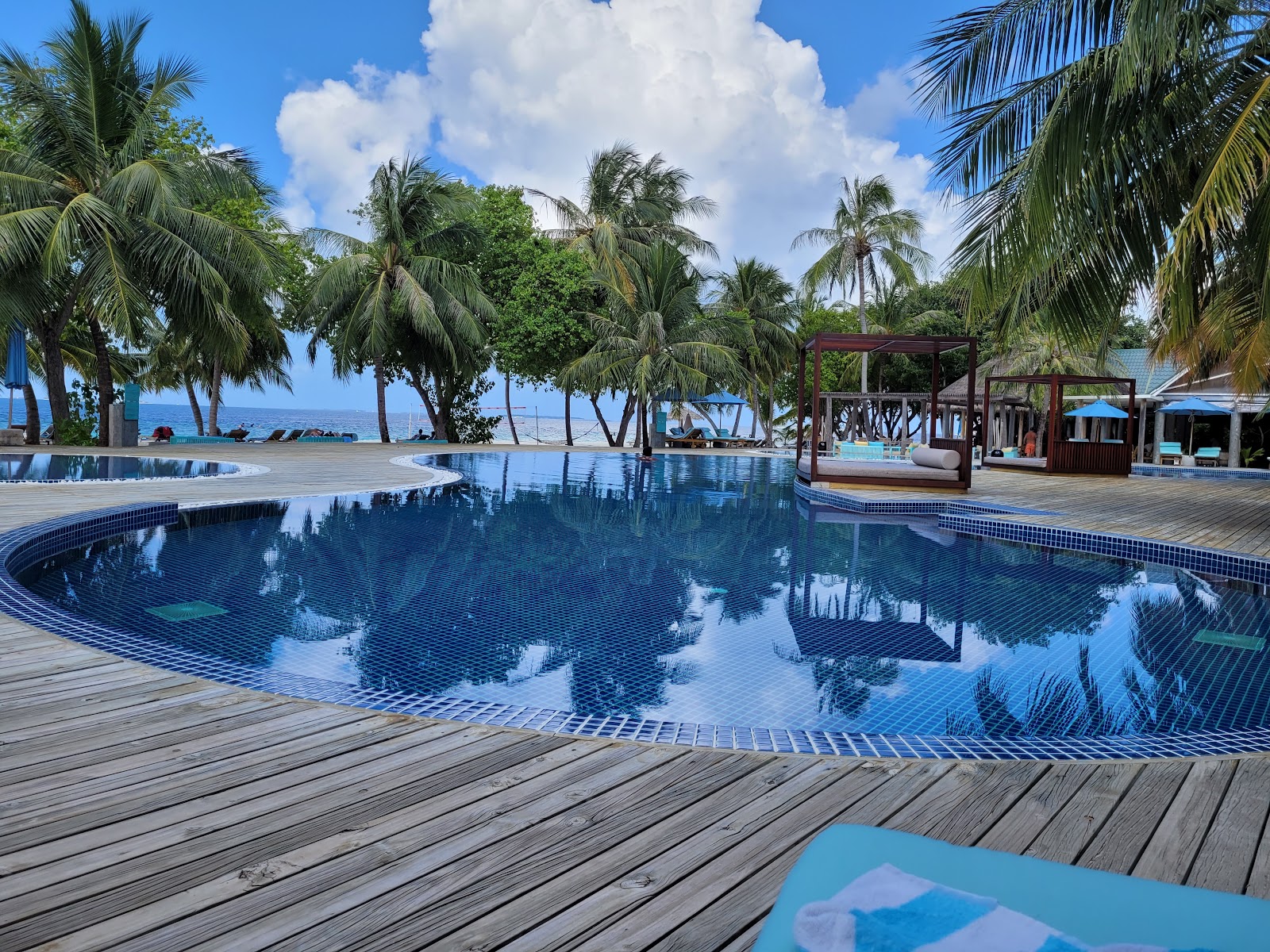 Curved blue-tiled pool on wooden deck with palm trees, ocean, and gazebos at Furaveri Maldives under clear sky.