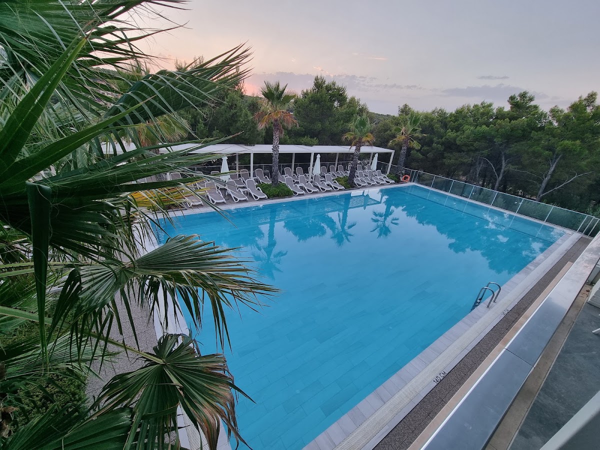 Resort swimming pool surrounded by white lounge chairs, palm trees, and forested hillside at dusk.