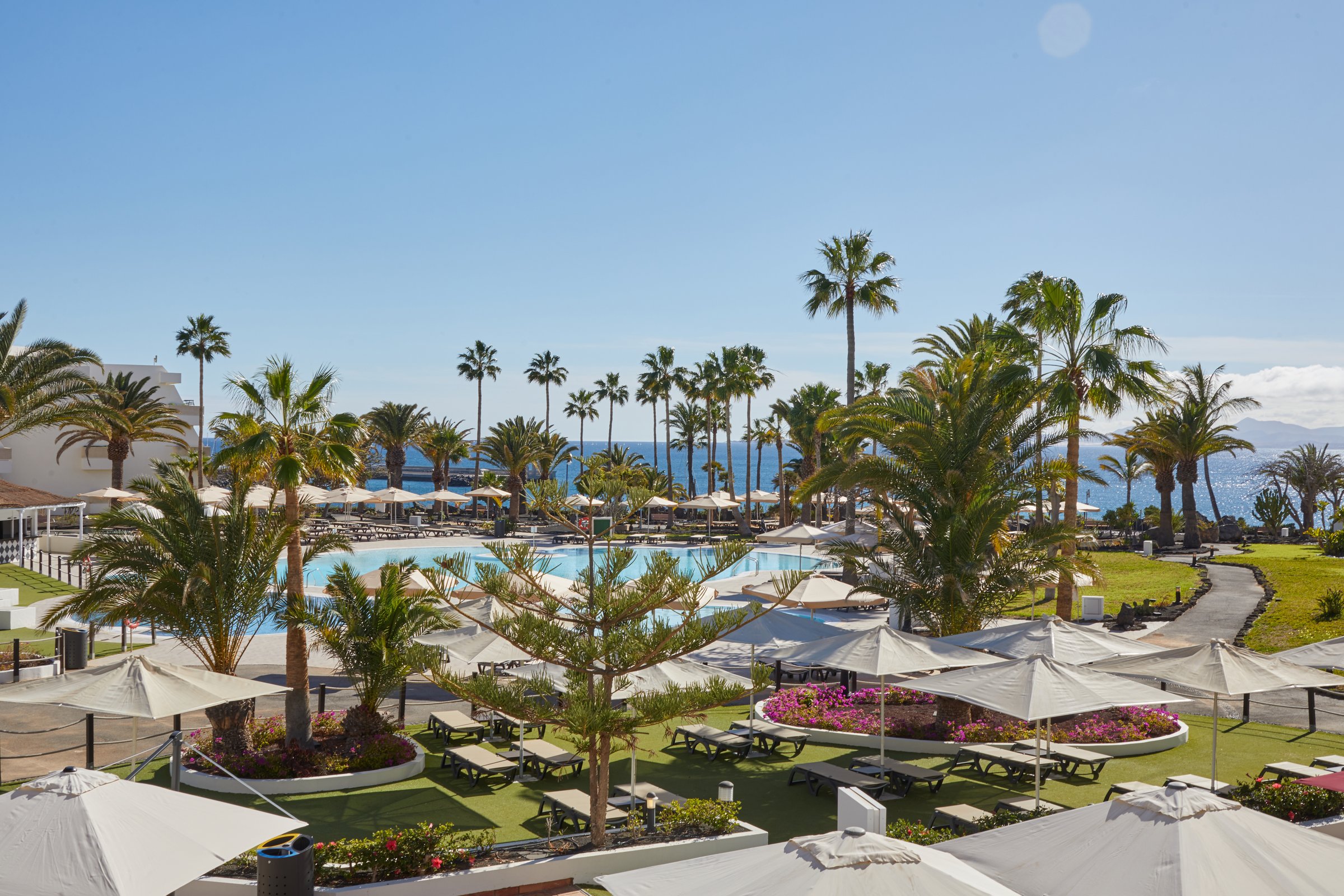 Elevated view of the Azure Bay pool, gardens and palms