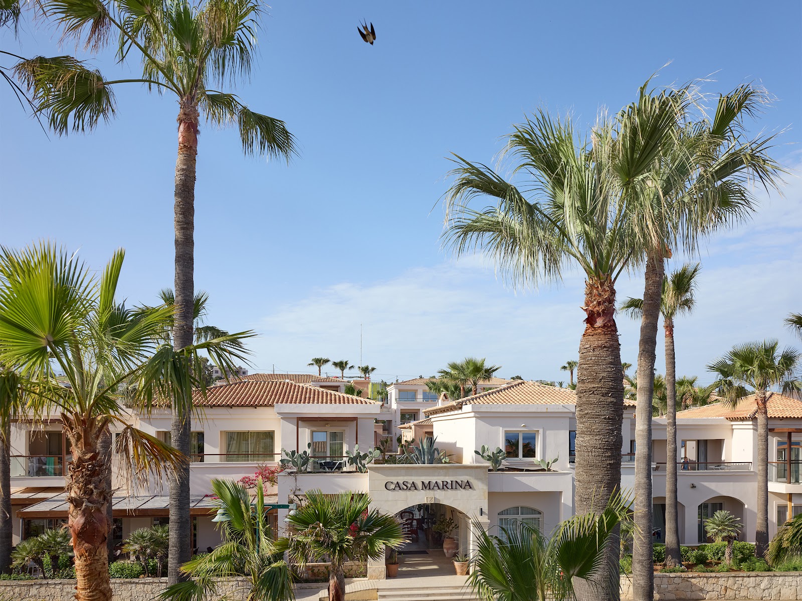 Resort pool with turquoise water and white lounge chairs surrounded by palm trees, with the Mediterranean Sea visible beyond.