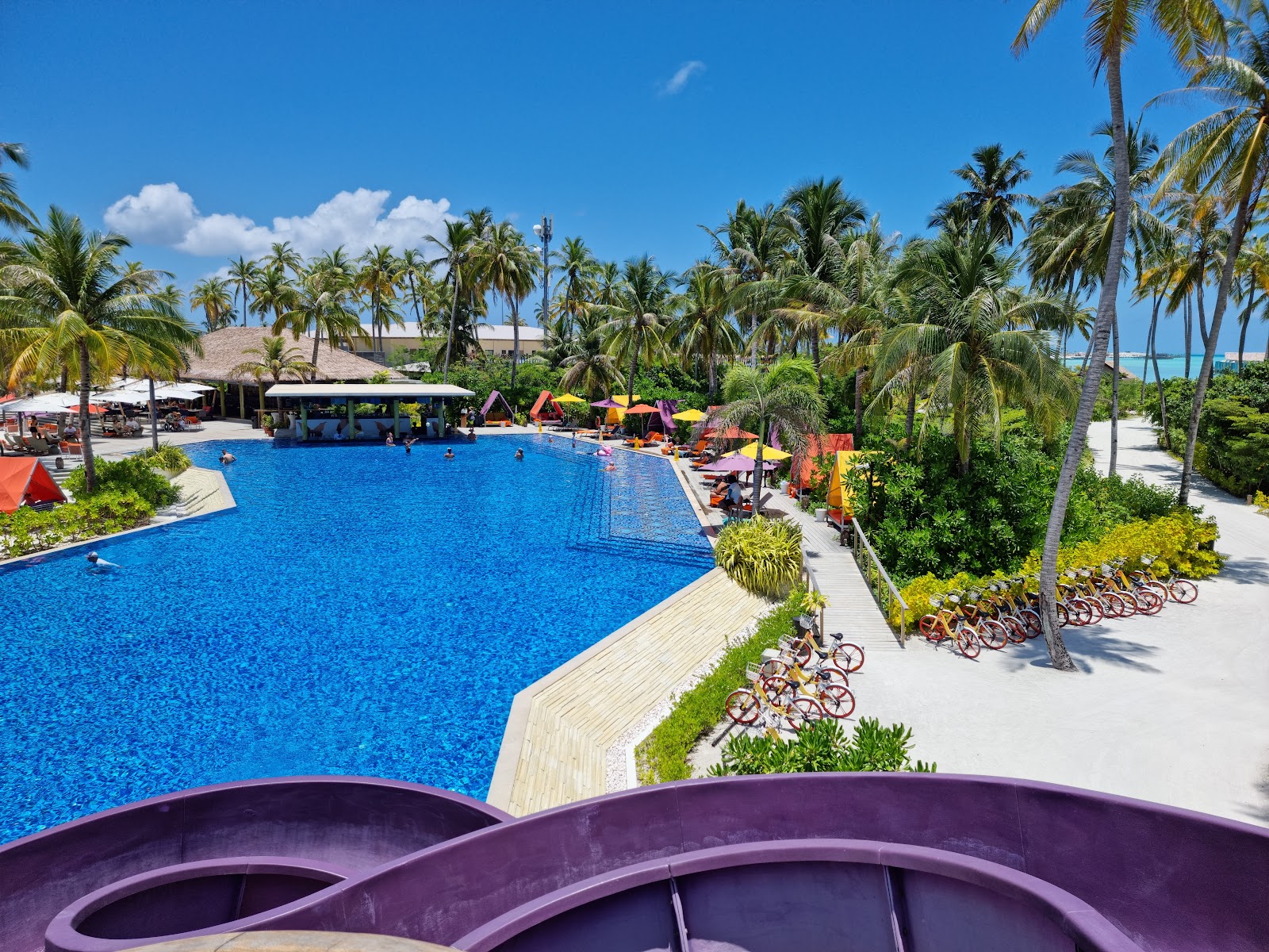 Large lagoon-style pool surrounded by palm trees, loungers, and colorful umbrellas at Hard Rock Hotel Maldives, with bicycles parked along the deck.