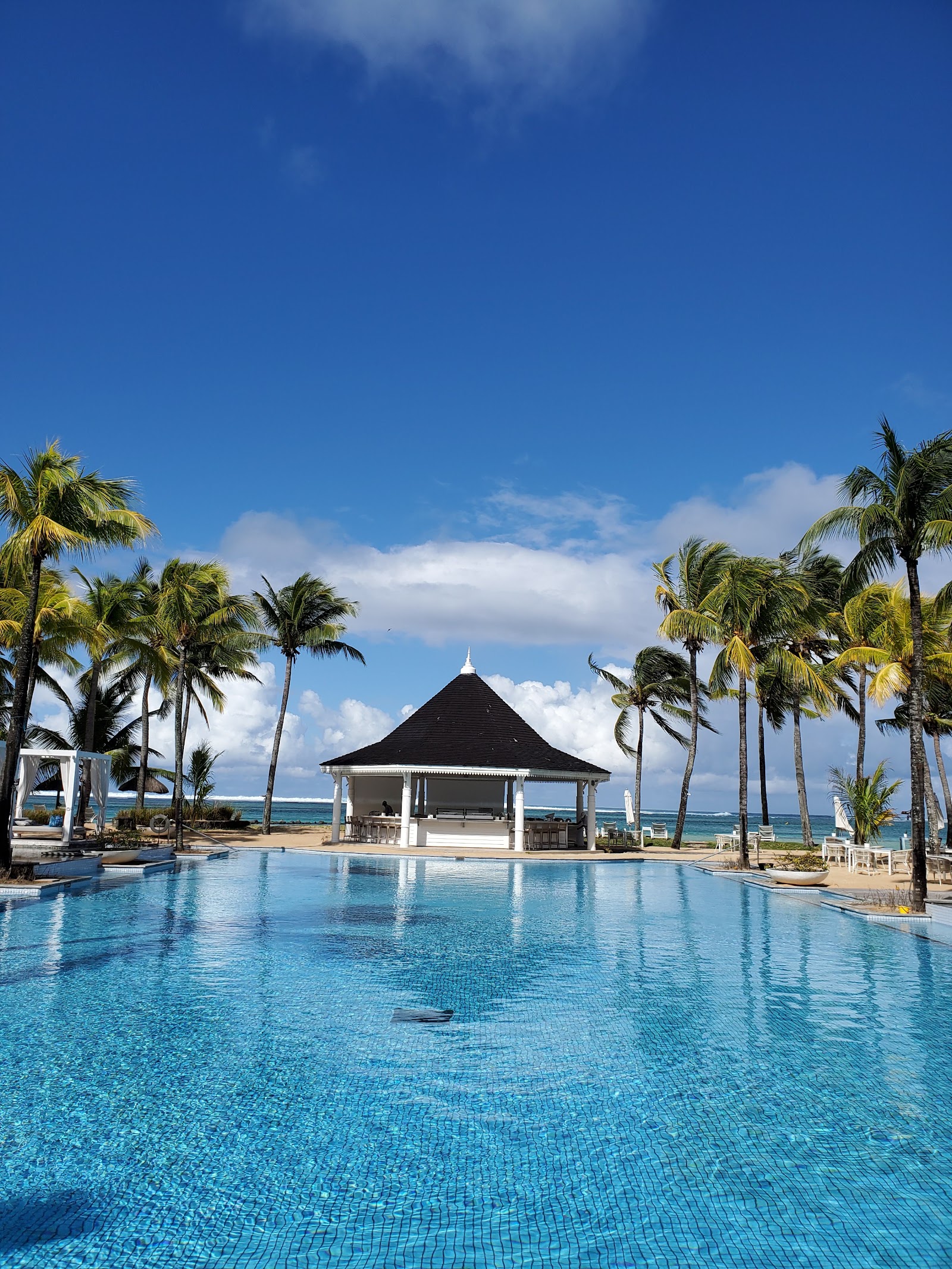 Overhead view of a curved swimming pool with loungers on a wooden deck, flanked by green lawn and palm tree shadows.