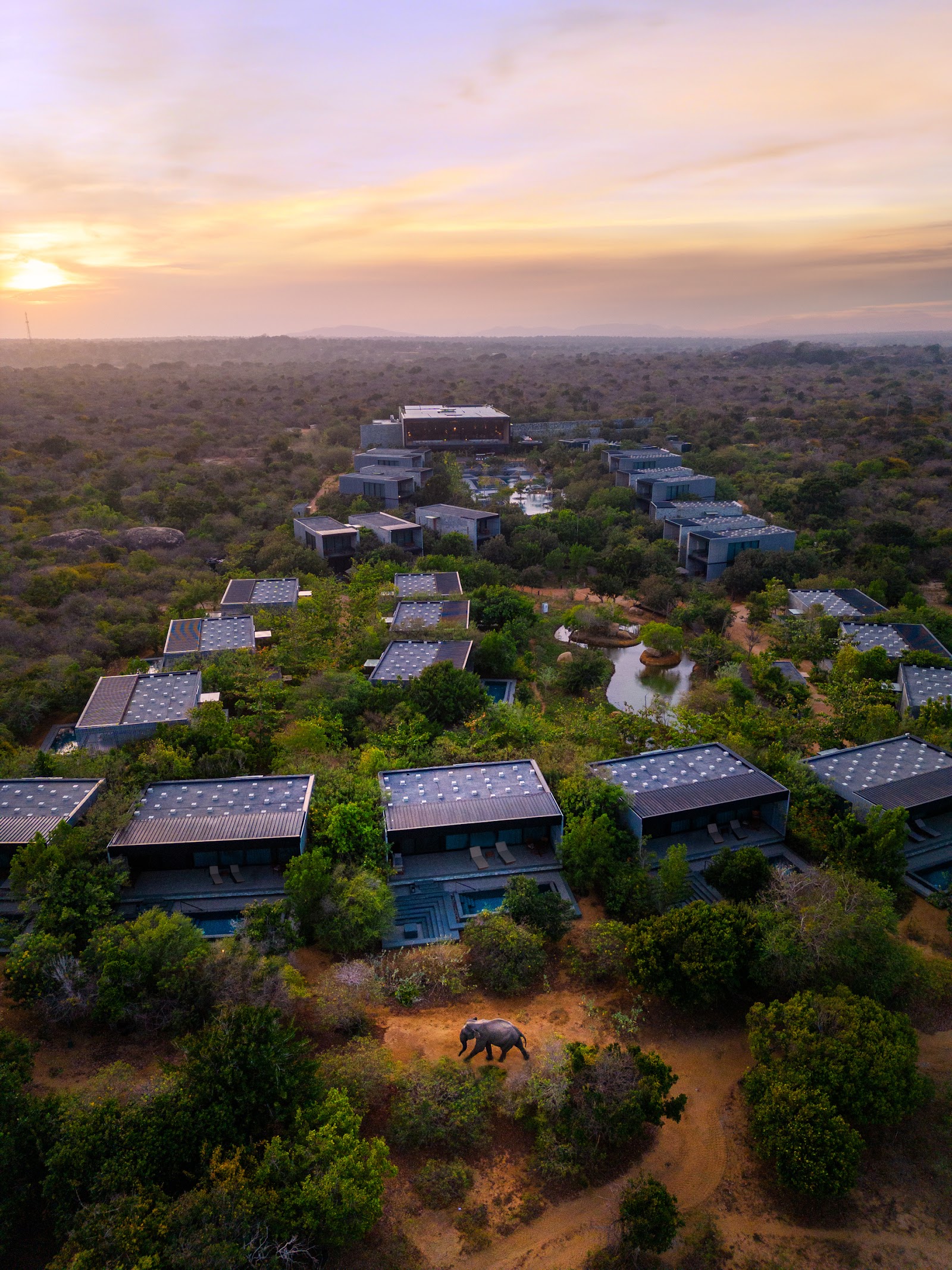 Aerial view of Hilton Yala Resort scattered across bushland at sunset, with an elephant walking on a dirt path in the foreground.