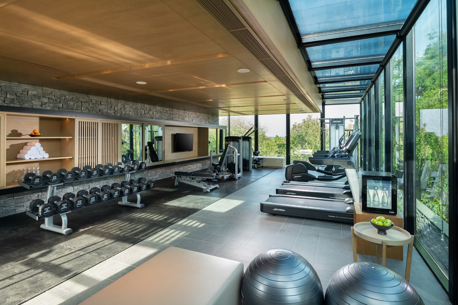 Modern fitness center with exercise equipment, dumbbells, treadmills, and stability balls beneath a skylight, surrounded by floor-to-ceiling windows overlooking greenery.