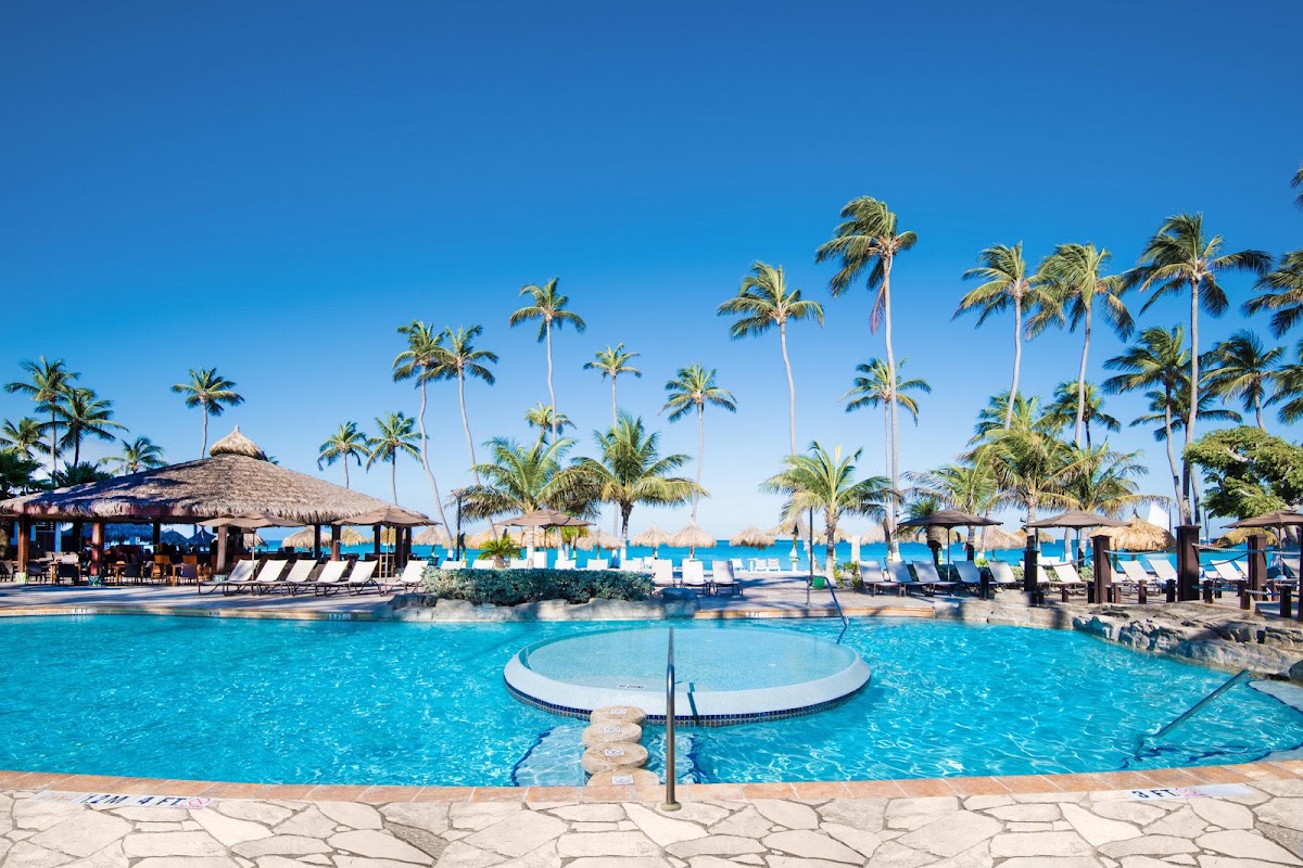 Turquoise pool with circular spa feature surrounded by lounge chairs, thatched umbrellas, and tall palm trees under clear blue sky at Holiday Inn Resort Aruba.